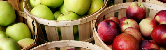 Washington Using High-Density Orchards To Bring Cosmic Crisp To Market